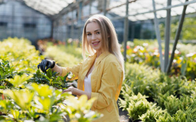 Cultivating Change: Success Stories from Organic Farms Around the Globe