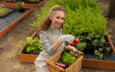 Rooted in Nature: Exploring the Journey of Organic Produce from Farm to Table